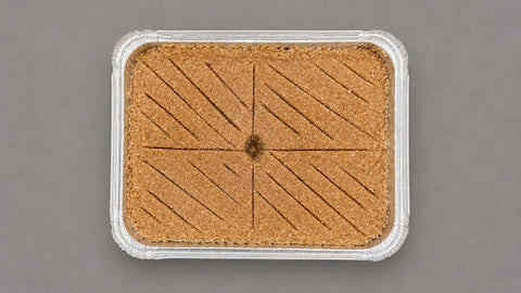 Kébbé libanais surgelé Mon Baladé