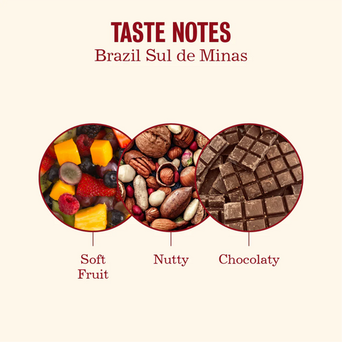 Brazil Blend | Cafe Younes