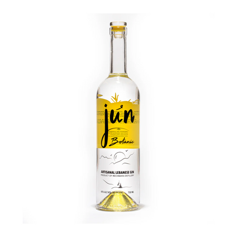 Jun Gins