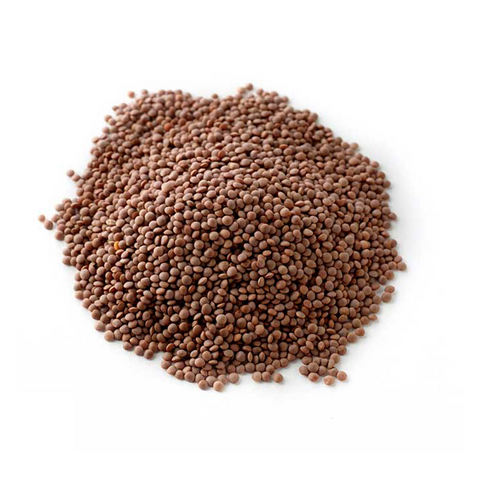 Red lentil